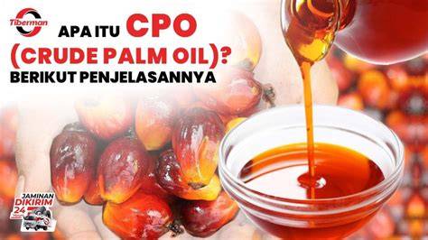Apa yang Dimaksud CPO