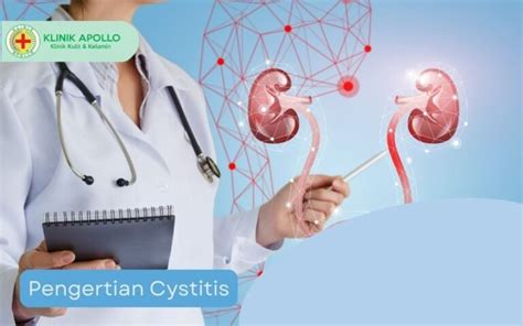 Apa yang Dimaksud Cystitis