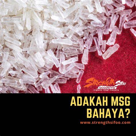 Apa yang Dimaksud MSG?