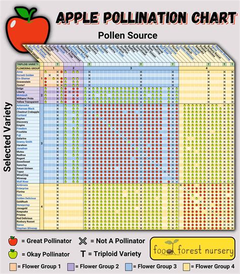 Apple Cross Pollination Chart