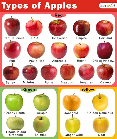 Apples Types Chart