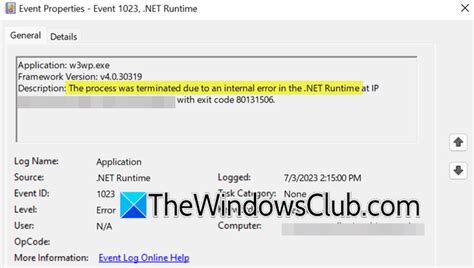 Application Log .NET Runtime Error