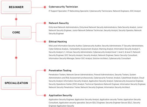Application Security Career