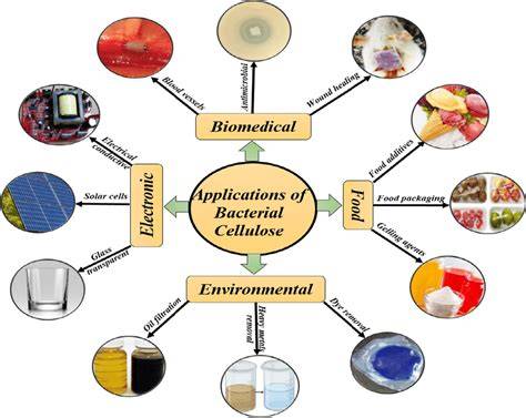 Applications of bacterial cellulose