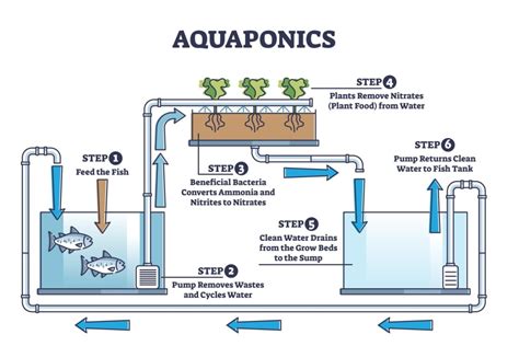 Aquaponics system overview