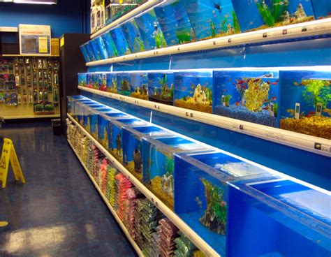 Aquarium Fishtank Store
