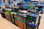 Aquarium Stores Near Me
