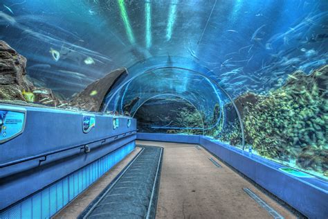 Aquarium Top View