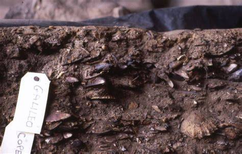 Archaeologist working on a shell midden