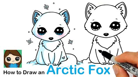 Arctic Fox How To Draw