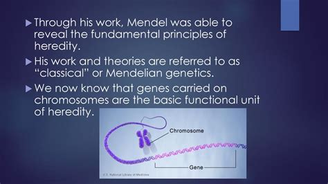 Are Genes are the basic and fundamental part of heredity