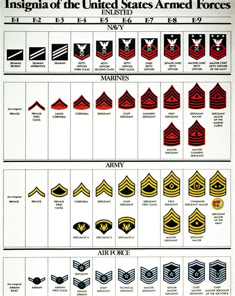 Army Enlisted Ranks Chart