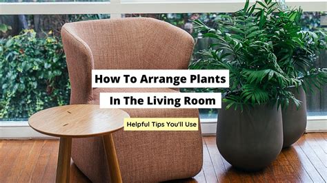 Arrange Images