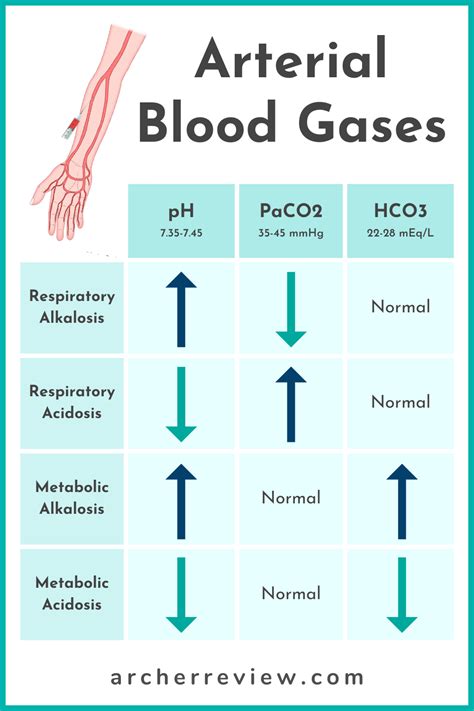 Arterial Blood Gases Chart