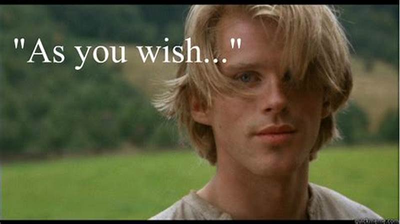 As You Wish Princess Bride Meme