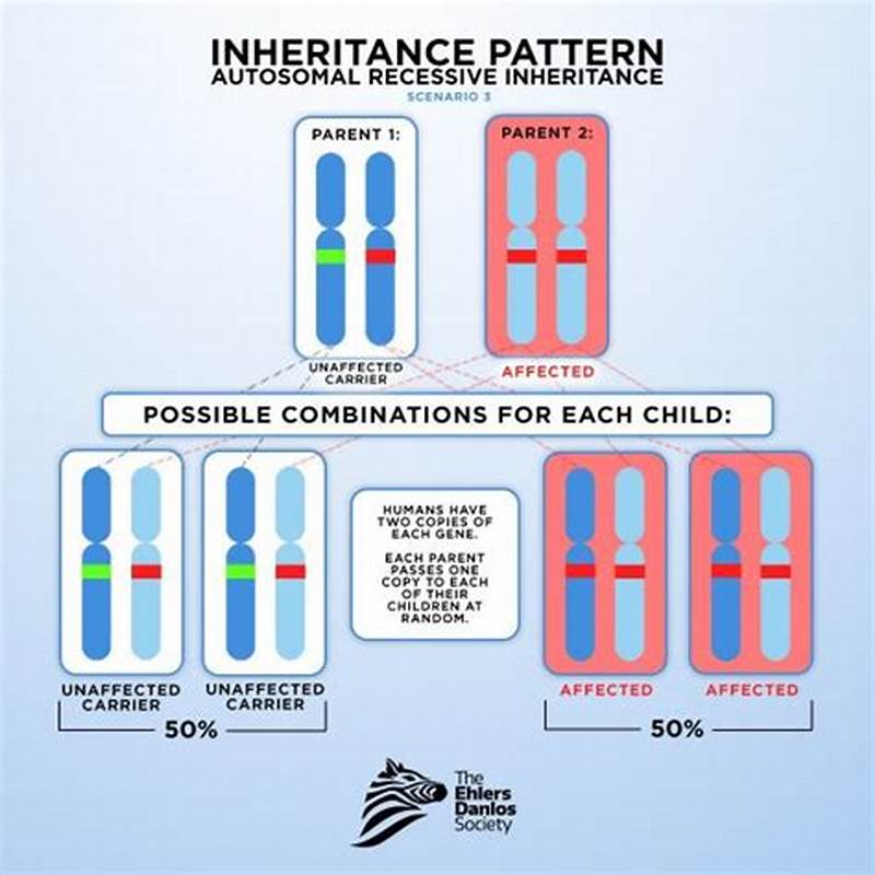 Aspergers Inheritance Pattern