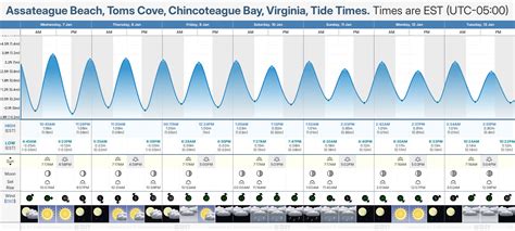 Assateague Tide Chart