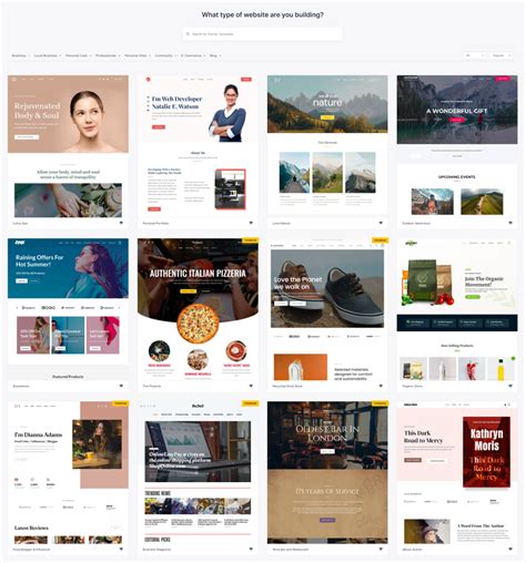 Astra Starter Template