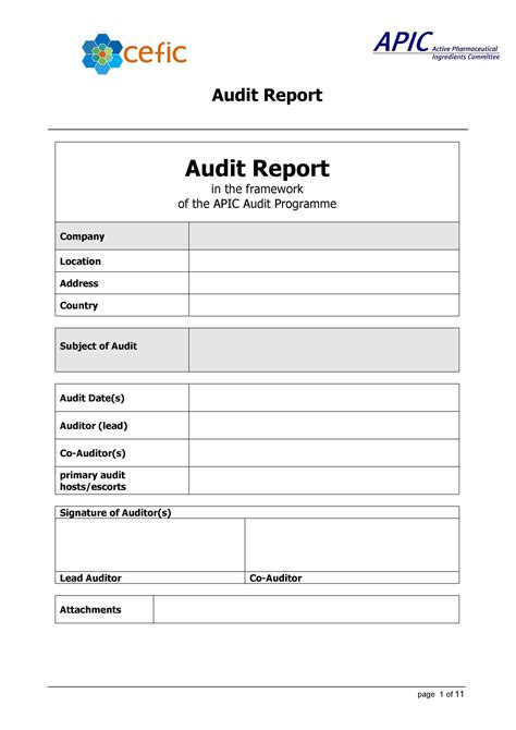Audit Report Templates