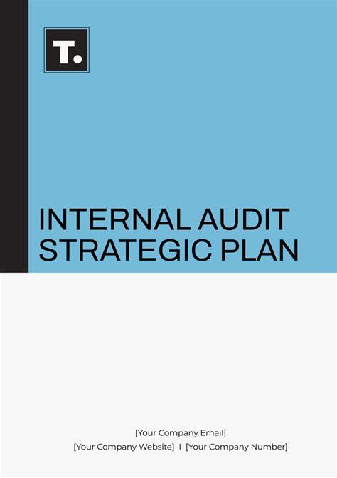 Audit Strategy Template