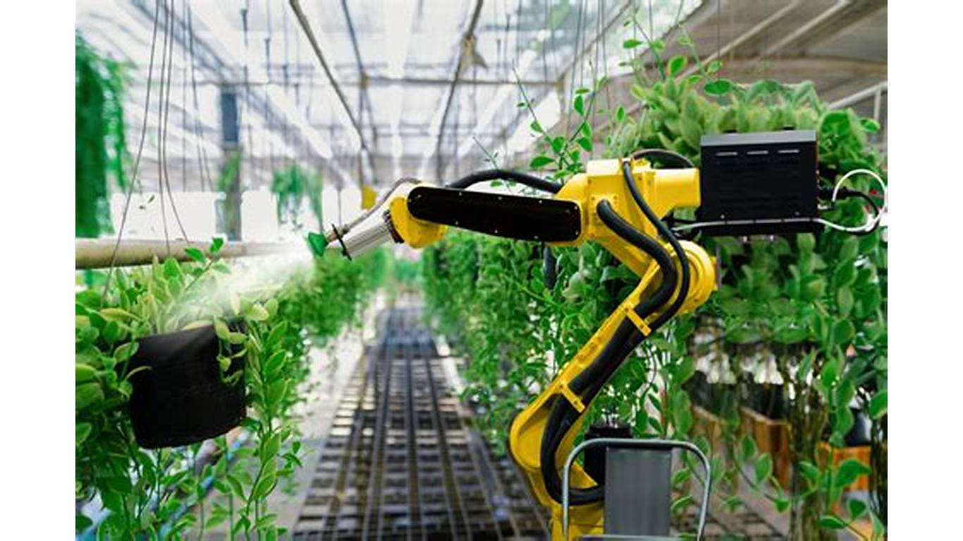 Automated Plant Factory (APF)