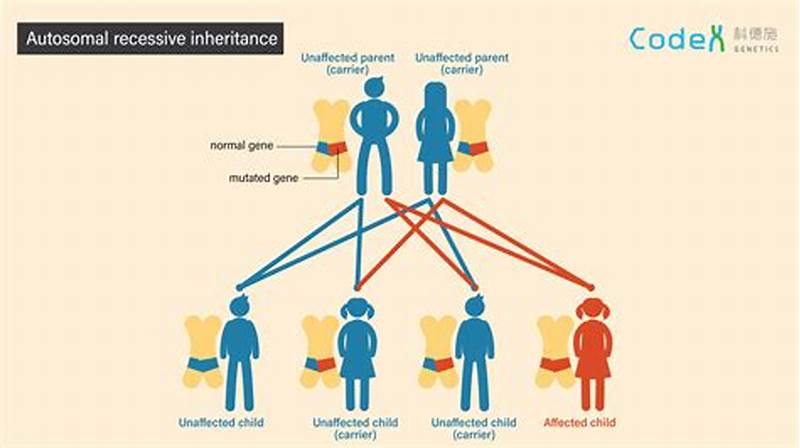 Autosomal Recessive Pattern Of Inheritance