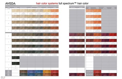 Aveda Hair Color Chart