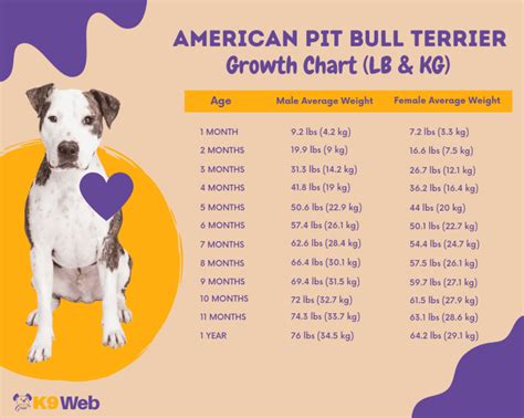 Average Pitbull Weight Chart