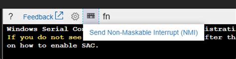 Azure Serial Console NMI button