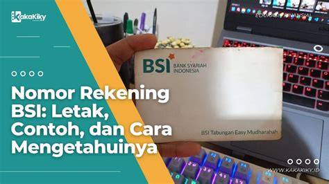 BSI Account Number