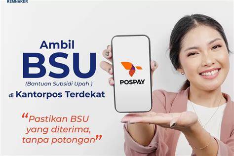 BSU program explanation