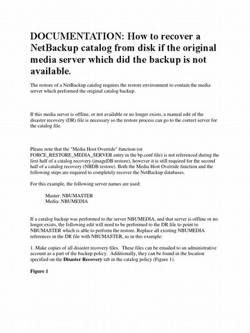 Backup File Not Found In Netbackup Catalog