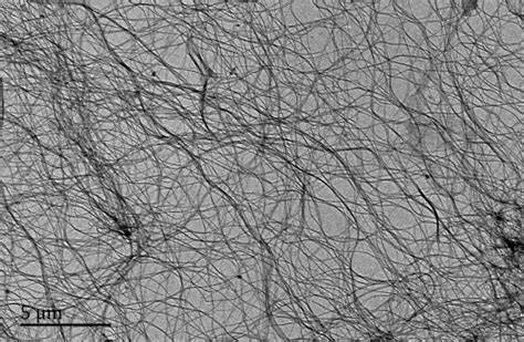 Bacterial cellulose structure