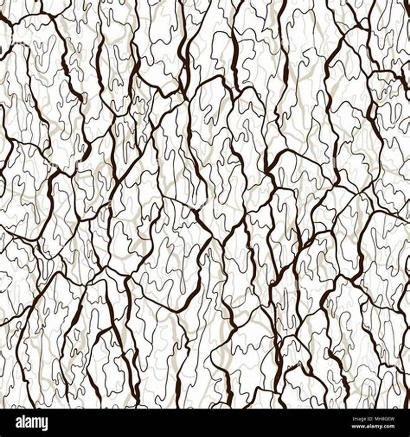 Bark Pattern Drawing