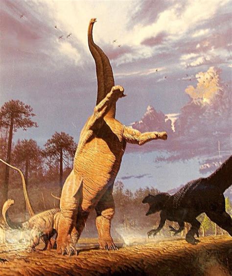 vs Allosaurus