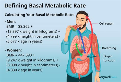 Basal Metabolic Rate