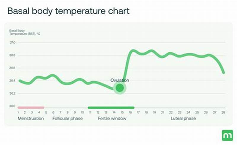 Basal Temperature Chart Example