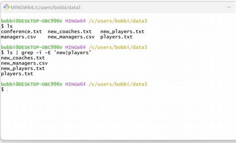 Bash List Files Matching Pattern