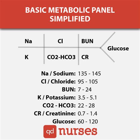 Basic Metabolic Panel Chart