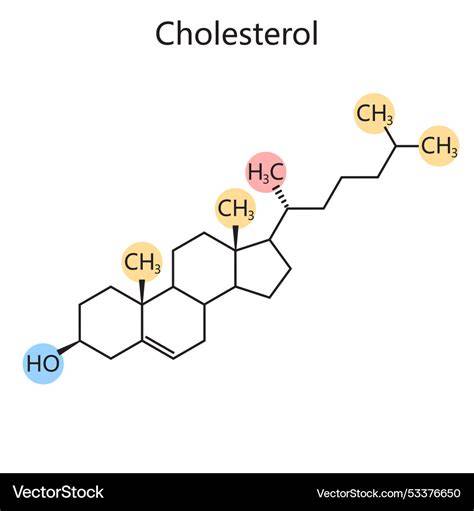 Basic structure of cholesterol molecule
