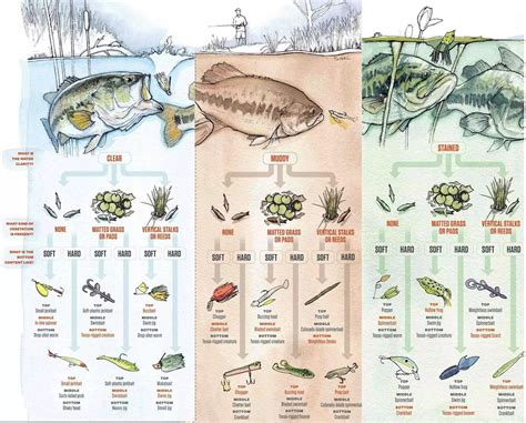 Bass Fishing Lure Chart