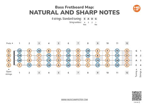 Bass Guitar Note Chart