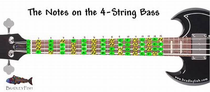 Bass Note Chart 4 String