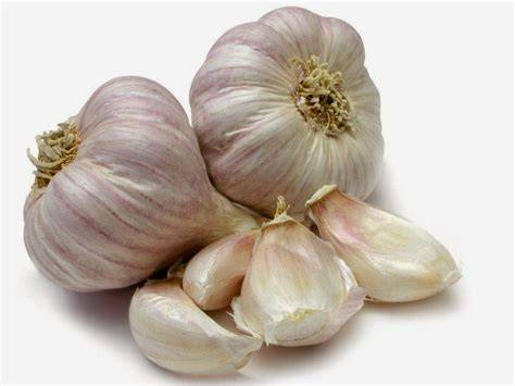 Bawang Putih