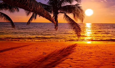 Beach Video