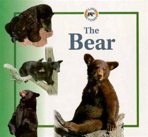 Bear Library Catalog