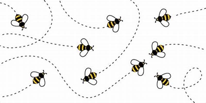 Bee Flight Pattern