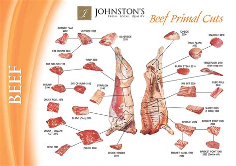 Beef Butchering Cuts Chart