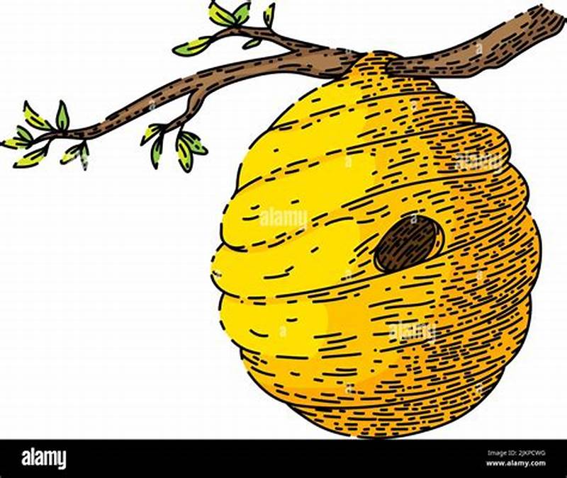 Beehive Pattern Drawing