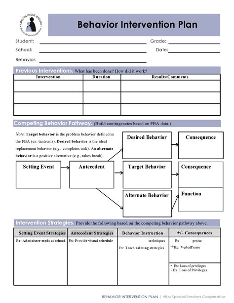 Behavior Intervention Plan Template